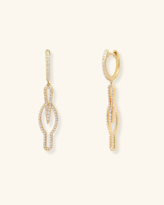 Hornbill Hoop Earrings, Wisdom