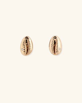 Baby Cowrie Stud Earrings