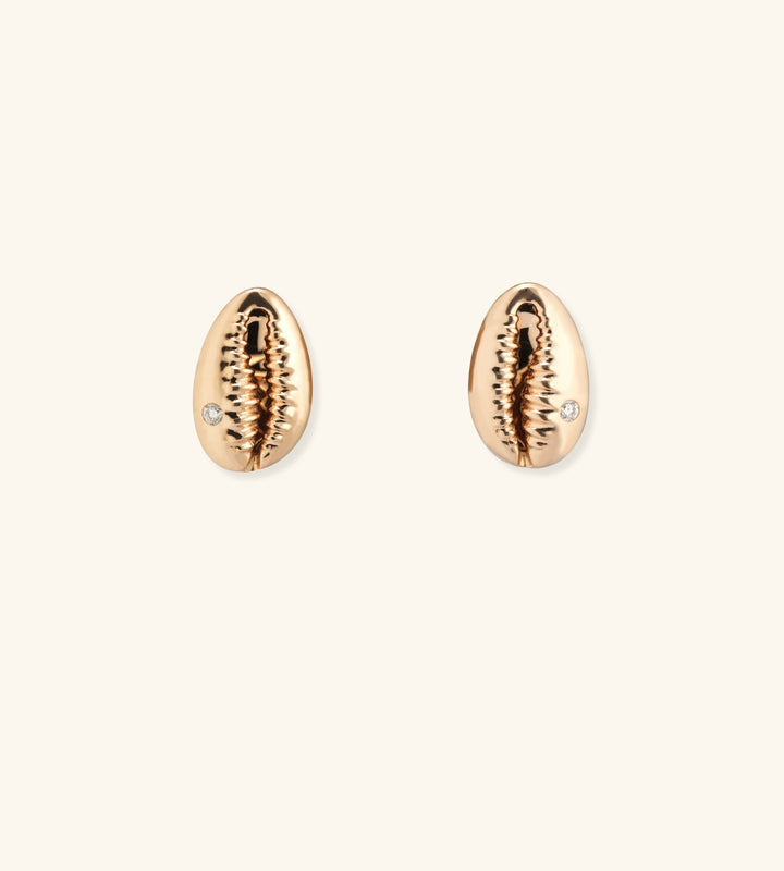 Baby Cowrie Stud Earrings