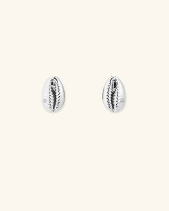 Baby Cowrie Stud Earrings