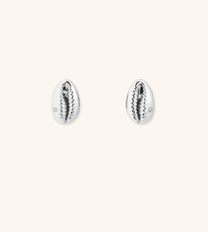 Baby Cowrie Stud Earrings
