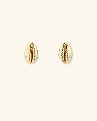 Baby Cowrie Stud Earrings