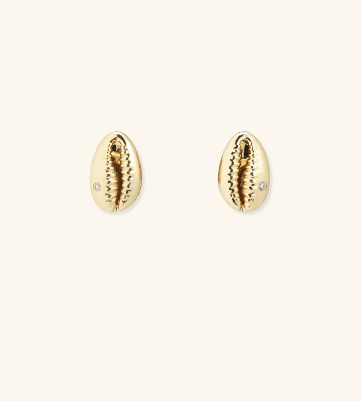 Baby Cowrie Stud Earrings